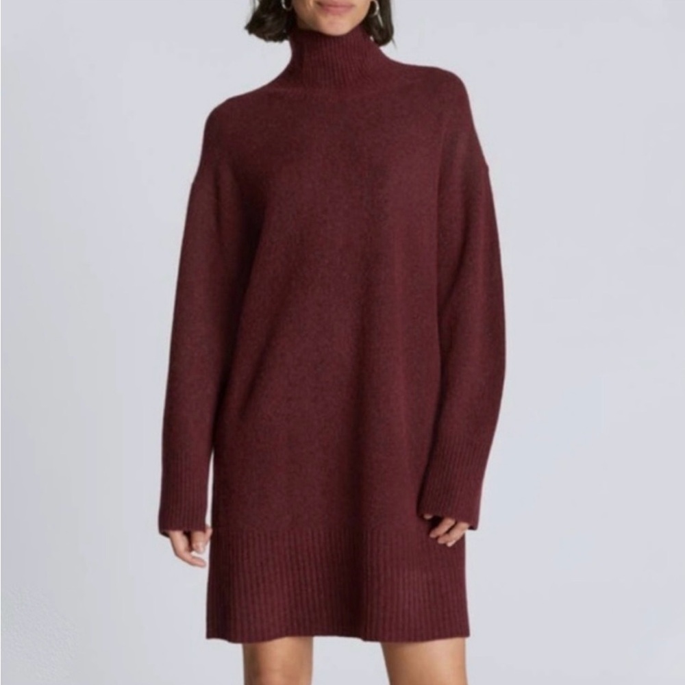 Everlane cozy stretch turtleneck dress in brandy
